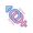 Gender Reveal