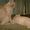 Nancy Holland Strickland