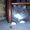 Catlady Nave