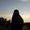 daisydusk