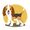Beagle Care