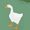 Goose