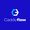 Caddyflow Webflow Agency