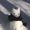 aestheticfashion