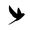 Black Swallow