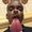 Tyler S