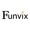 Funvix Quizzes