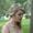 Savannah Raye Jones