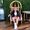 Kloe Townson