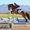 𝒪𝓃𝒹𝒾𝓃𝒶-111 🐴