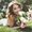 Katie Elkins