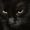 Mimou Lally