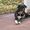Wilbur