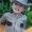 Nancy Thompson