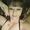 Ramona LaPoint