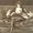 Shirley Dalton Gross