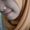 Winda Marisa