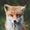 Flaffs