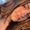 Ana Luiza Ferreira Ayroldes