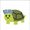 punk turtle