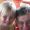 Debra Grams
