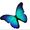 🦋 ILIANA DE LEIVA🦋