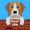 BEAGLEROOM