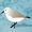 Giannina Sanderling