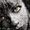 Delphine MECHE