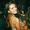 Irena Stanisic