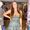 Morgan Rae Boutique