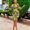 Ankara fashion styles