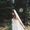 Louise ingalls Sturges