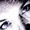 Nancy Ebbert