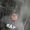 Mouni Reddy