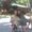 Karrie Johnson Placher