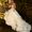 Eve of Milady