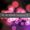 Pure Romance by Vanessa Ulrich
