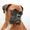 Boxer Lovers