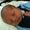 Korie Pressnell