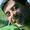 Afshin Iraji