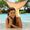 Beachgirlsinging