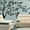 Ordin.pl