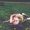 Hannah Ervin