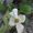Nancy Groover
