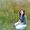Ines Ness