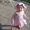 Ashley Hinsey