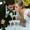 Weddings By Leigh
