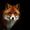 RENARD Claude