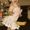 Alicia Powell Blackburn